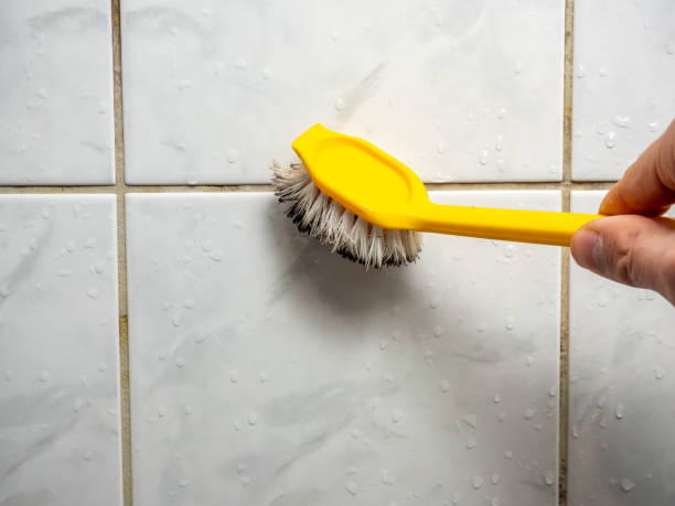 Best Toxic Mold Removal  in Dewitt, IA