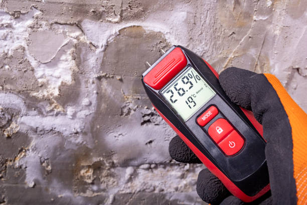 Best Fast Mold Removal  in Dewitt, IA