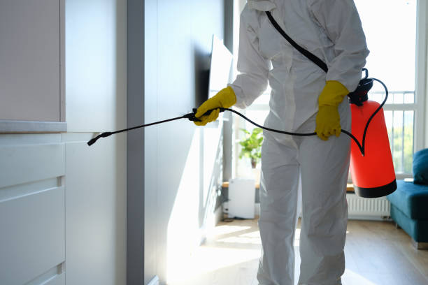 Best Home Mold Removal  in Dewitt, IA