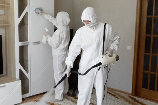 Best Professional Mold Removal  in Dewitt, IA