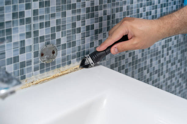 Best Mold Removal Company Near Me  in Dewitt, IA