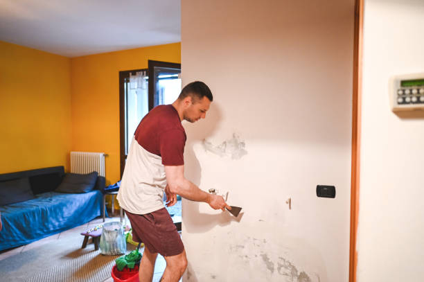 Best Water Damage Restoration  in Dewitt, IA