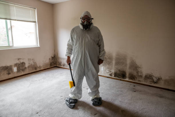 Crawl Space Mold Removal in Dewitt, IA