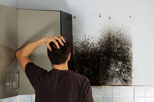 Best Residential Mold Removal  in Dewitt, IA